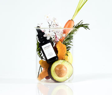 The Vintner’s Daughter and Her Botanical Elixir