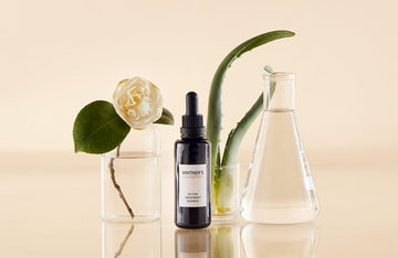 The New Luxury – Clean Beauty HOLIDAY GIFT GUIDE