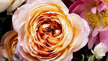 Pursue and Protect Your Summer Glow