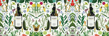 Phytoceramides, Your Skin Barrier Savior