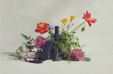 The First Fragrance From Vintner’s Daughter