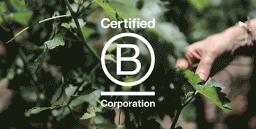 Building a Beautiful, Sustainable Future