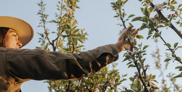 Distinguishing Details: Returning Craftsmanship To Skincare