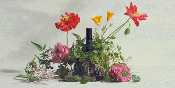 Nature’s Connection