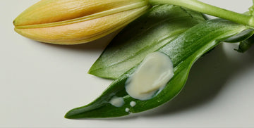 Cleansing, Advanced: A New Evolution of Active Renewal Cleanser