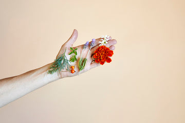 Microcirculation: The Key To Glowing Skin