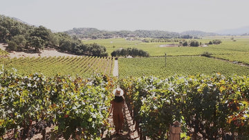 Napa Inspired: An Audacious Approach to Skincare