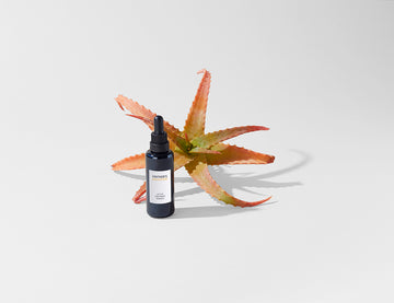 Adaptogens: Bringing Skin Into Balance