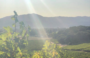 Terroir Comes To Skincare