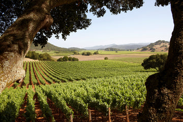 Inside Our Beautifully Sustainable Approach To Skincare