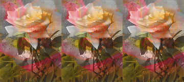 Rosehip Oil: Nature’s Moisturizing Multitasker