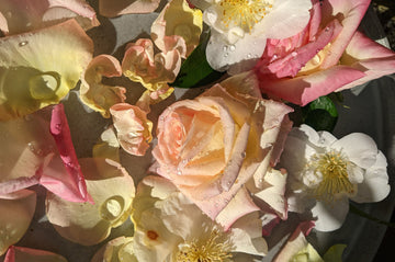 The Flowers That Work Wonders For Your Skin