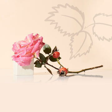 Botanical-Inspired Beauty Rituals