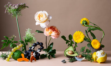 Why Your Skin Needs Antioxidants