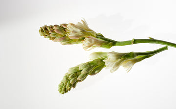 How To Naturally Care For Sensitive Skin