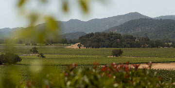 Clean Start: What Does Natural Skincare Mean?