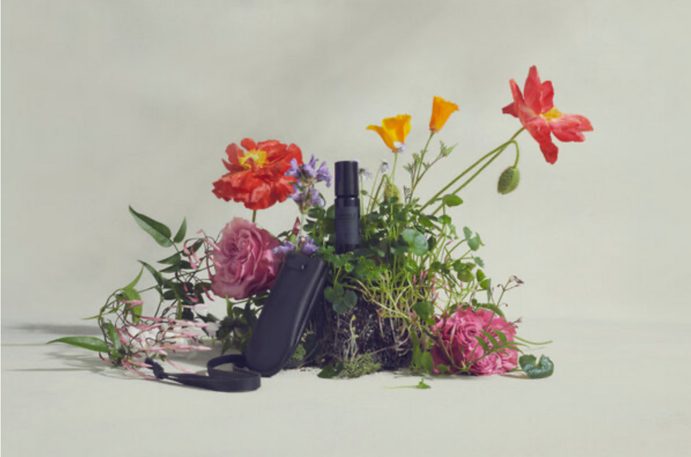 Botanical Skin Care Brand Vintner’s Daughter Makes Its Foray Into Fragrance
