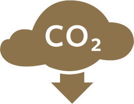 CARBON OFFSET