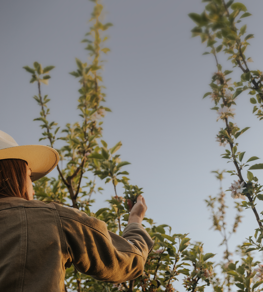 Skincare with a purpose | Vintner's Daughter