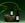 Two Vintner’s Daughter skincare bottles displayed on a natural stone with curling green tendrils, set against a dark green background.