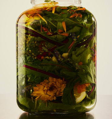 VINTNER'S DAUGHTER☆ヘイリービーバー愛用☆ボタニカルオイル Performance-driven, nutritional skincare | Vintner's Daughter