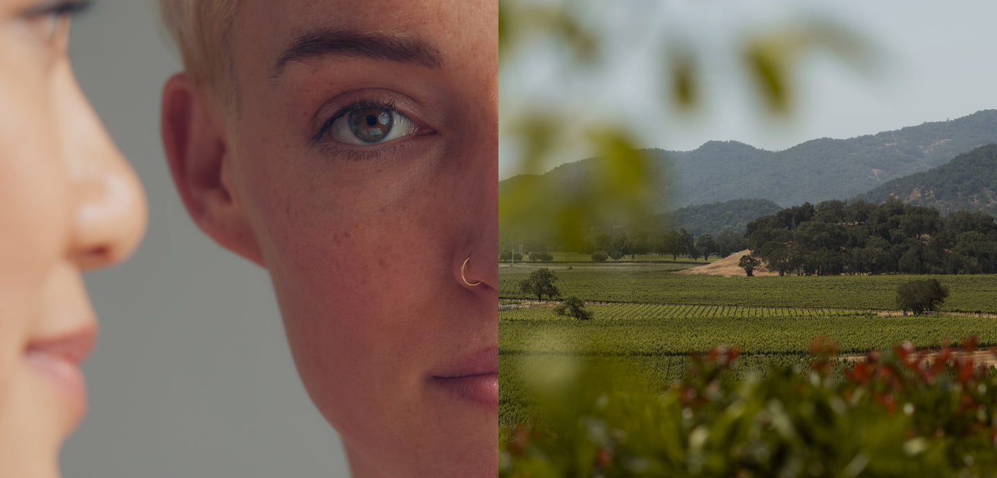 Vintner's Daughter